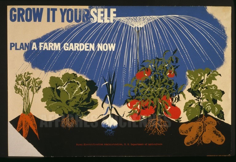 GROW IT YOURSELF