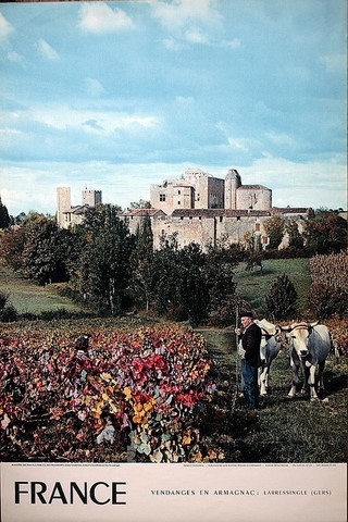 Vendanges en Armagnac Laressingle Gers