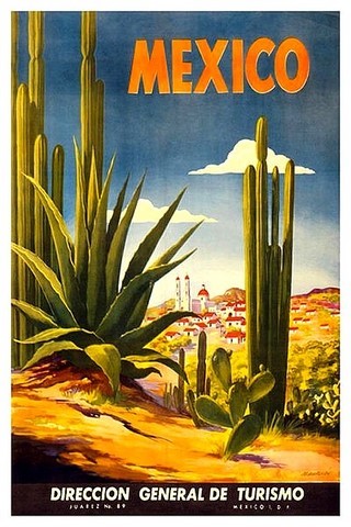 VISTEZ LE MEXIQUE acapulco