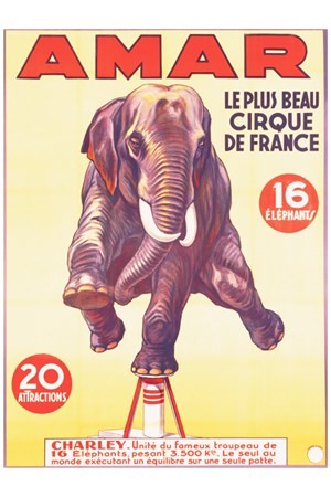 TITRE : Amar, Cirque de France 