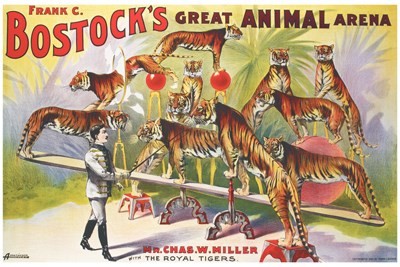 TITRE : Cirque Bostock's