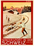 reproduction affiche suisse montagne