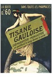 TITRE : Tisane Gauloise 